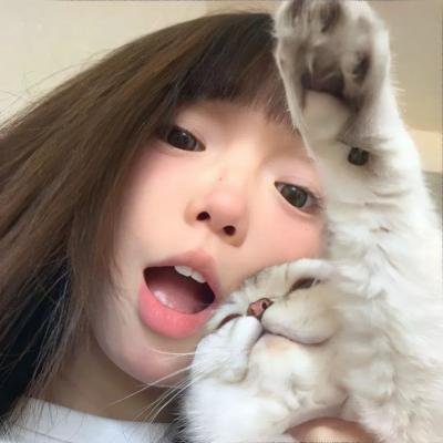 不可思议猫森林